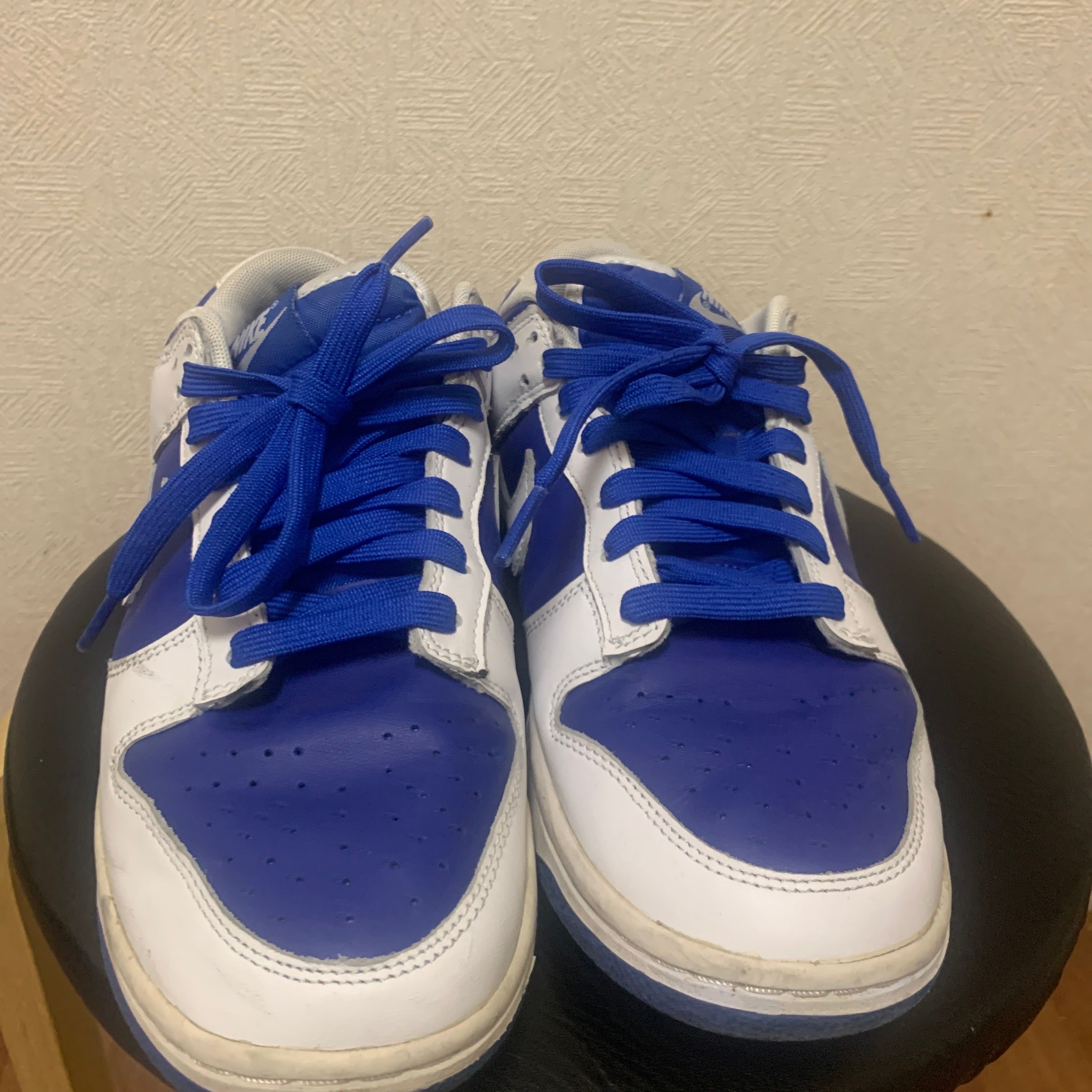 Nike Dunk Low Retro "Racer Blue and White"