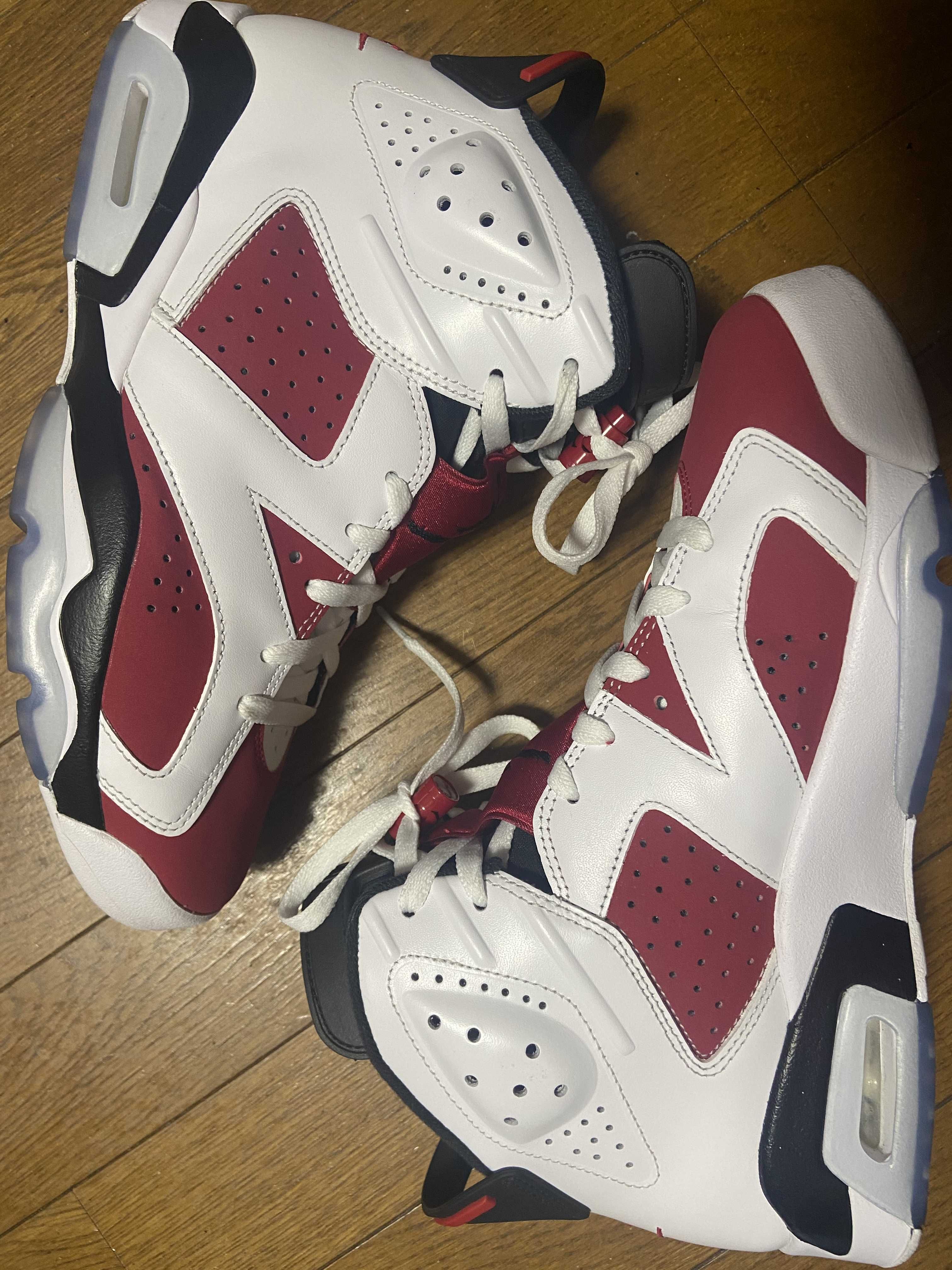 Nike Air Jordan 6 "Carmine" (2021)