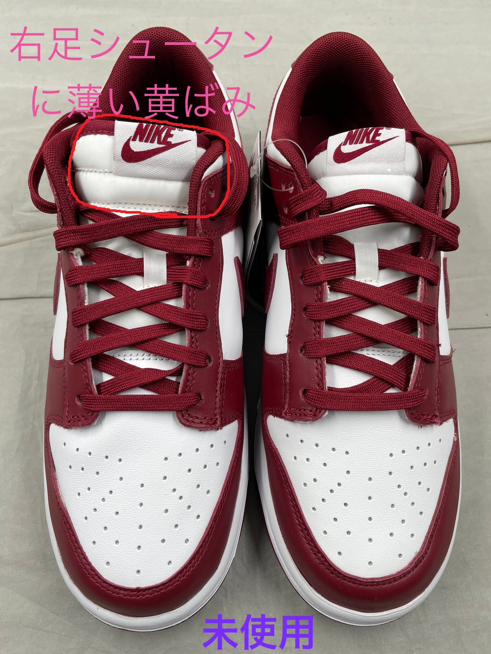 Nike Dunk Low Retro "Team Red"