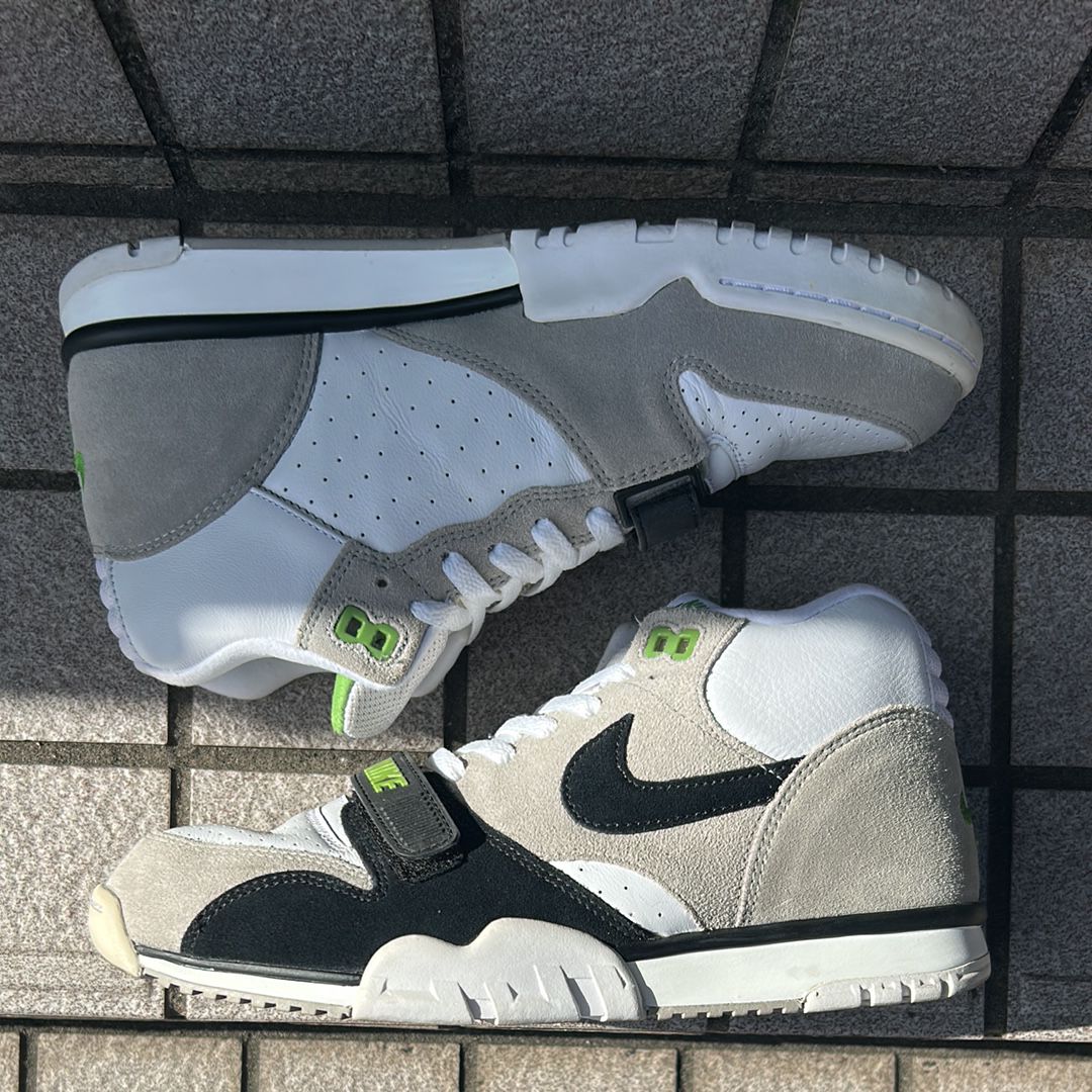 Nike SB Air Trainer 1 "Chlorophyll"