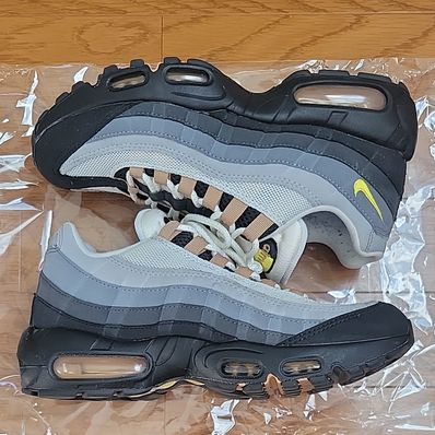 Nike Air Max 95 "Icons"