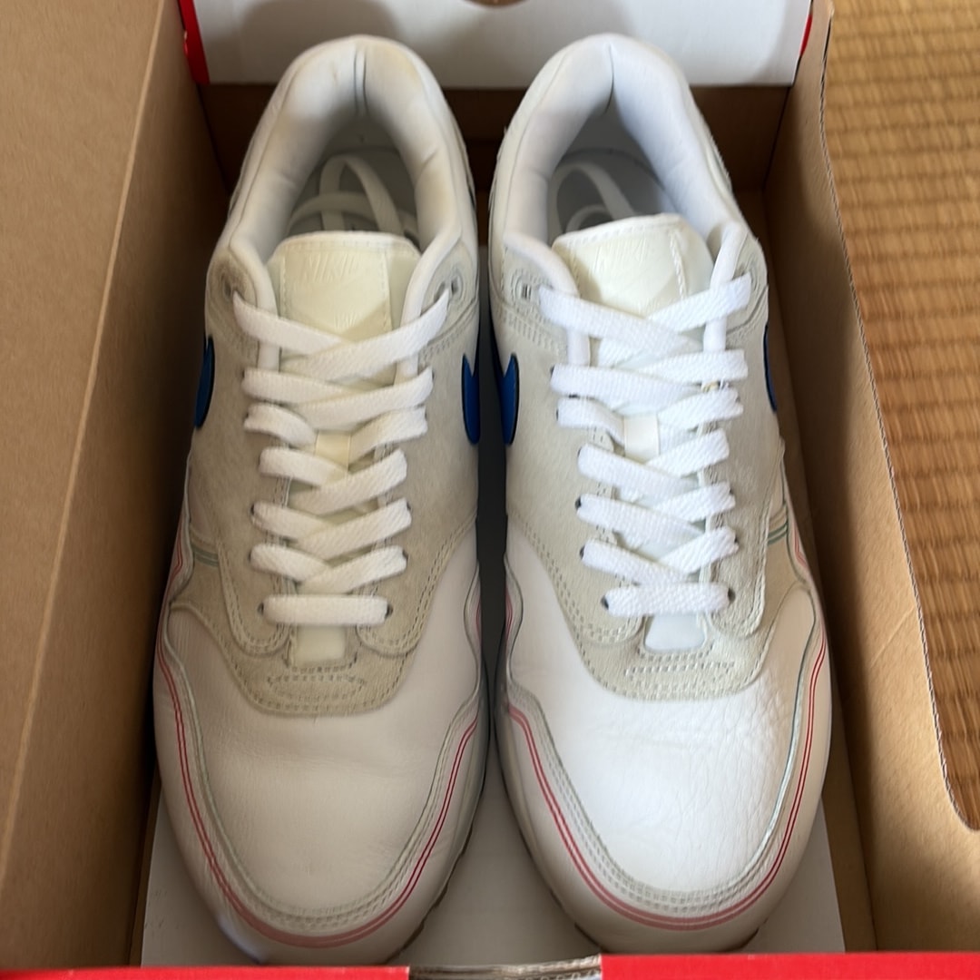 Nike Air Max 1 "Pompidou Center Day"