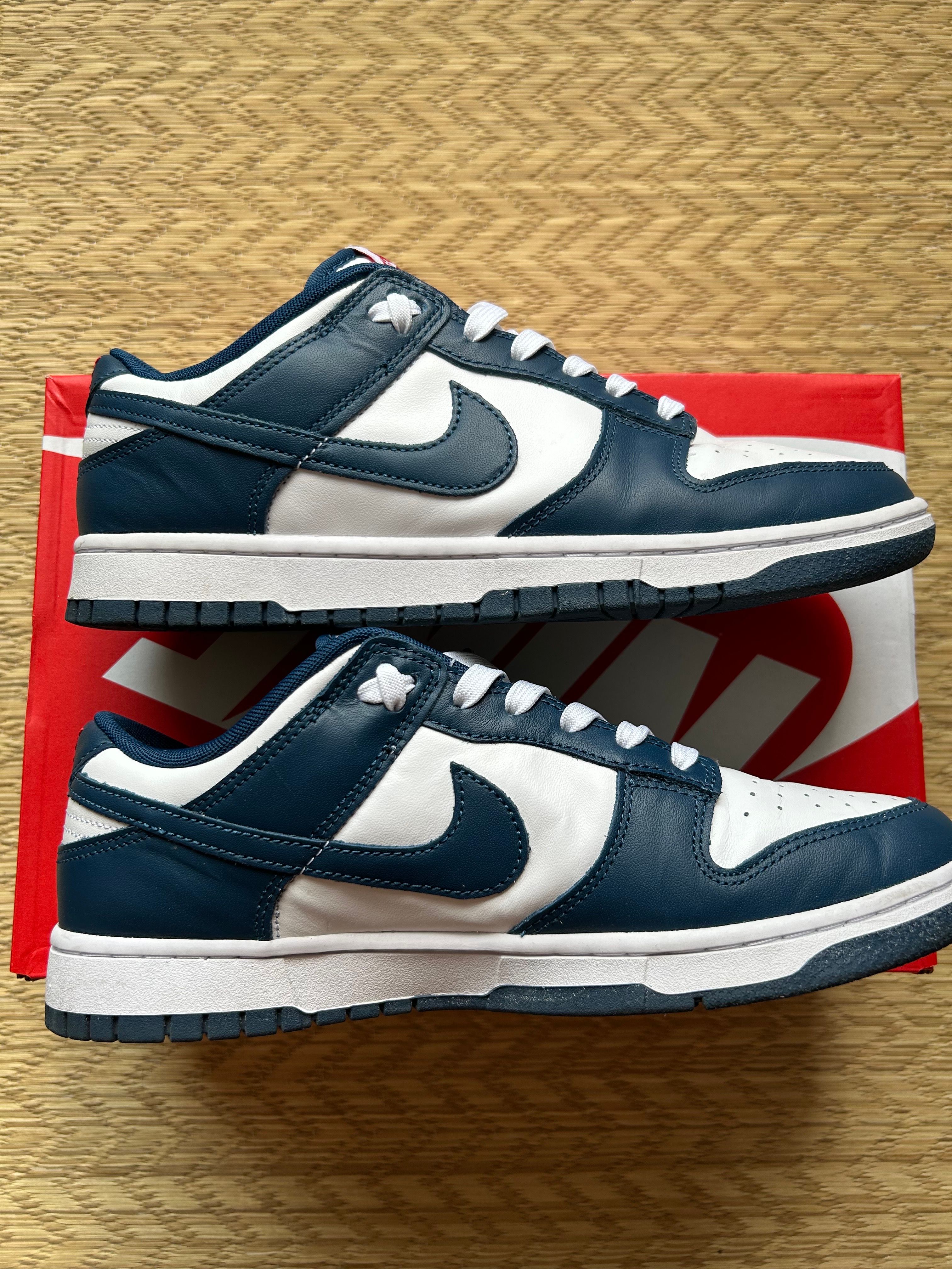 Nike Dunk Low "Valerian Blue"