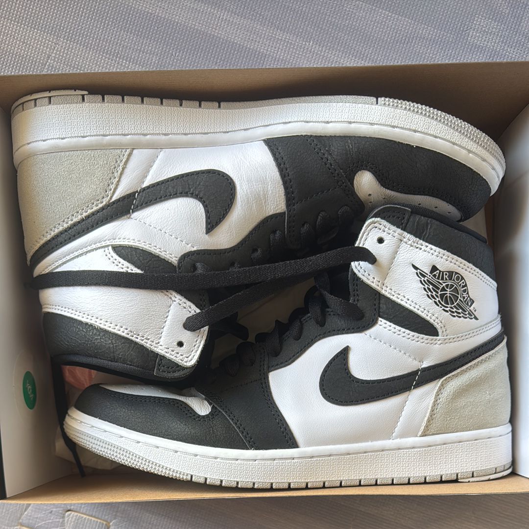 Nike Air Jordan 1 High OG "Bleached Coral"