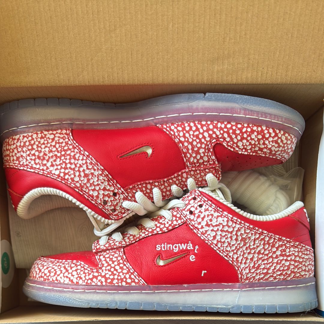 Stingwater × Nike SB Dunk Low 