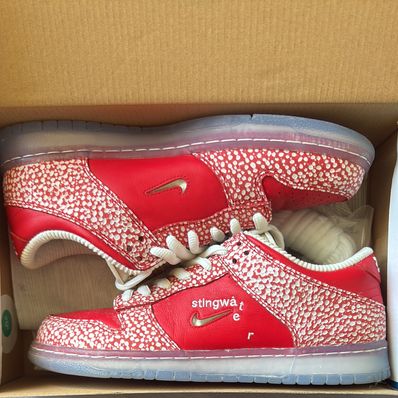 Stingwater × Nike SB Dunk Low "Magic Mushroom"