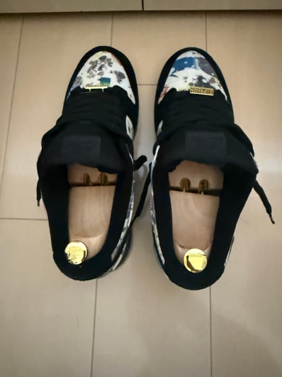 Supreme × Nike SB Dunk Low "Rammellzee"
