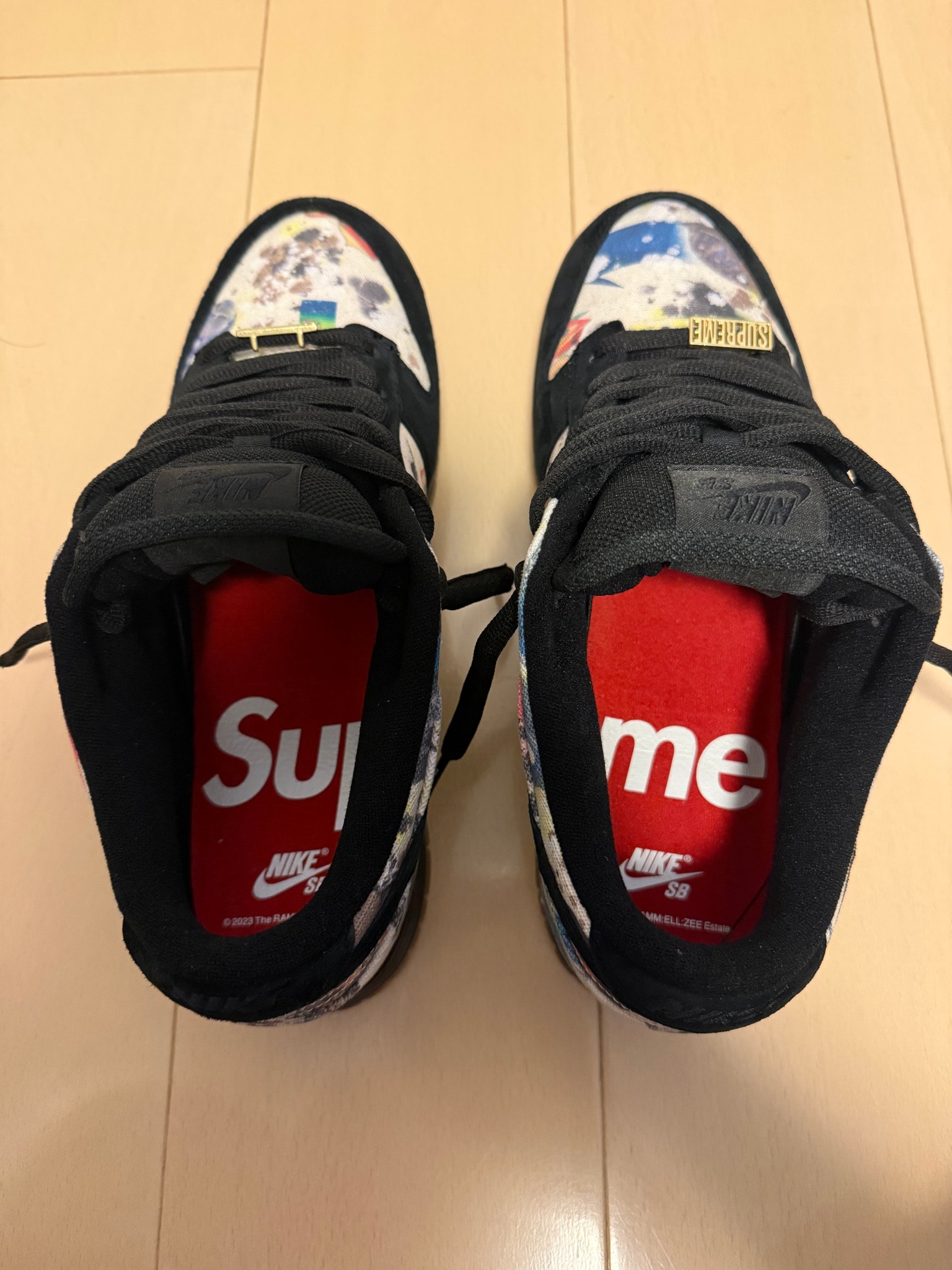 Supreme × Nike SB Dunk Low "Rammellzee"