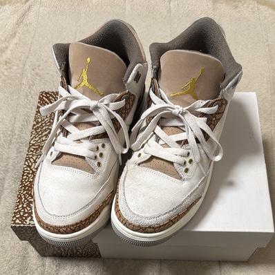 Nike Air Jordan 3 Retro "Orewood Brown"