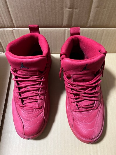 Nike Air Jordan 12 Retro "Gym Red" (2018)