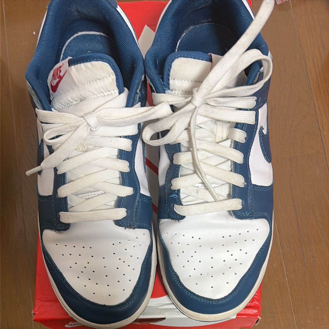 Nike Dunk Low "Valerian Blue"