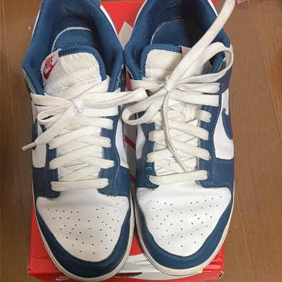 Nike Dunk Low "Valerian Blue"