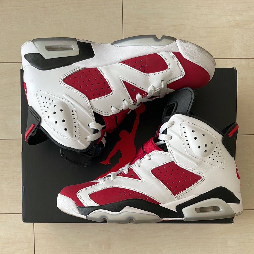 Nike Air Jordan 6 "Carmine" (2021)