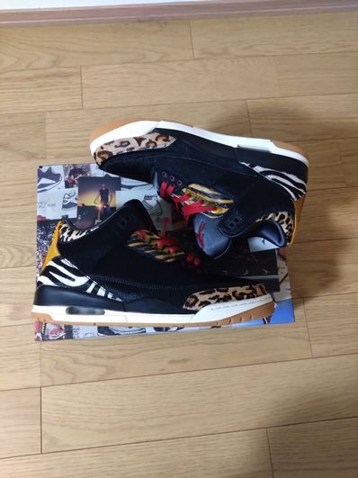 Nike Air Jordan 3 Retro SE "Animal Instinct/Safari"