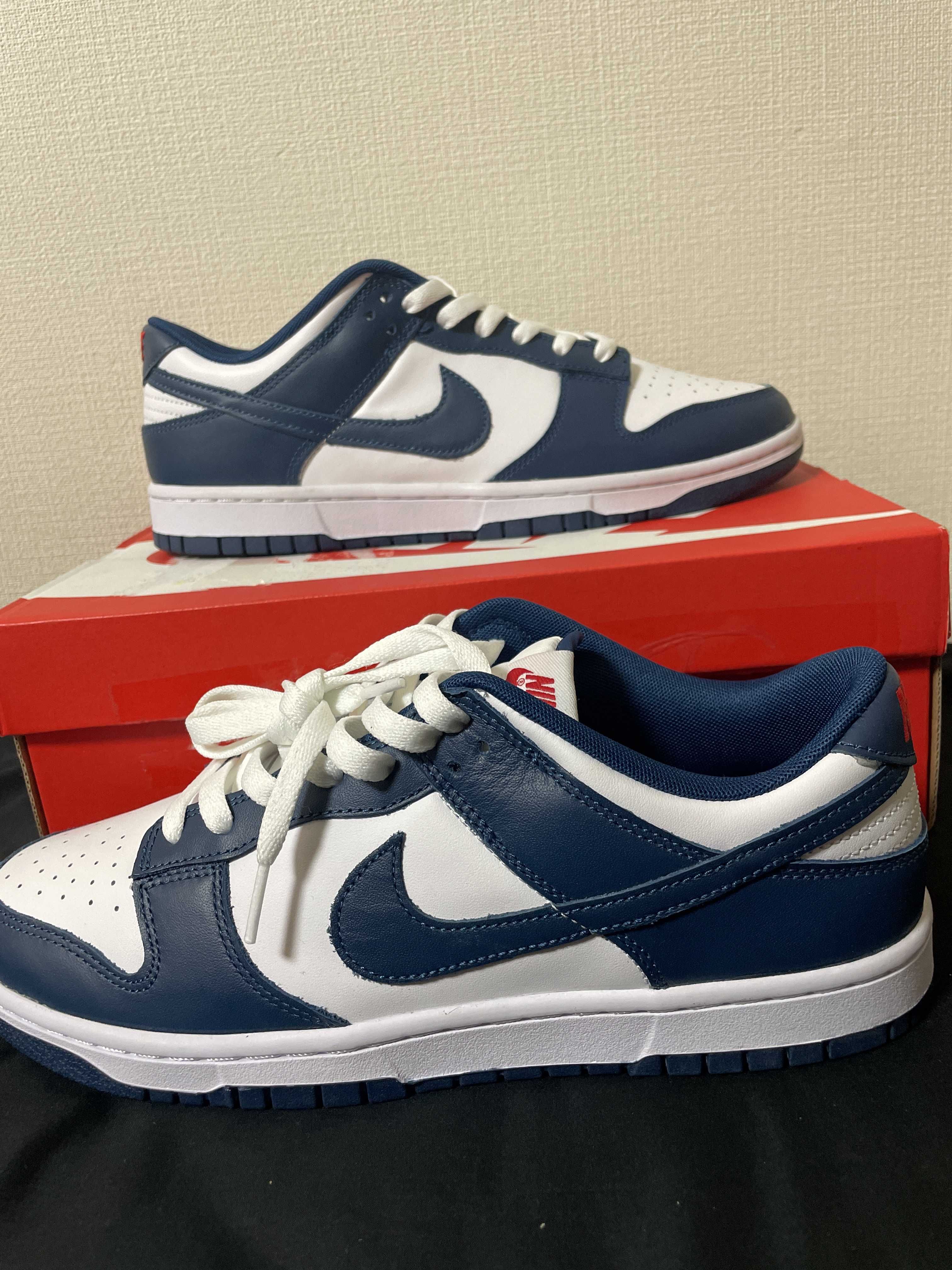 Nike Dunk Low "Valerian Blue"