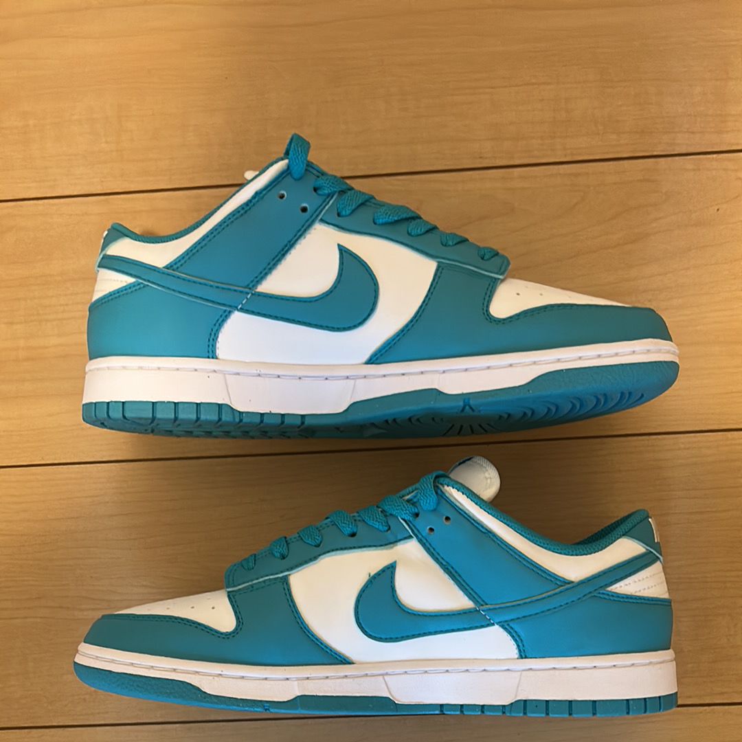 Nike Women's Dunk Low Next Nature "Dusty Cactus"