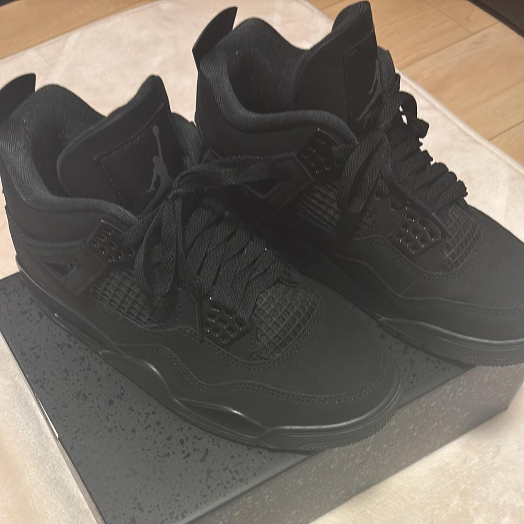 Nike Air Jordan 4 Retro OG "Black Cat" (2025)