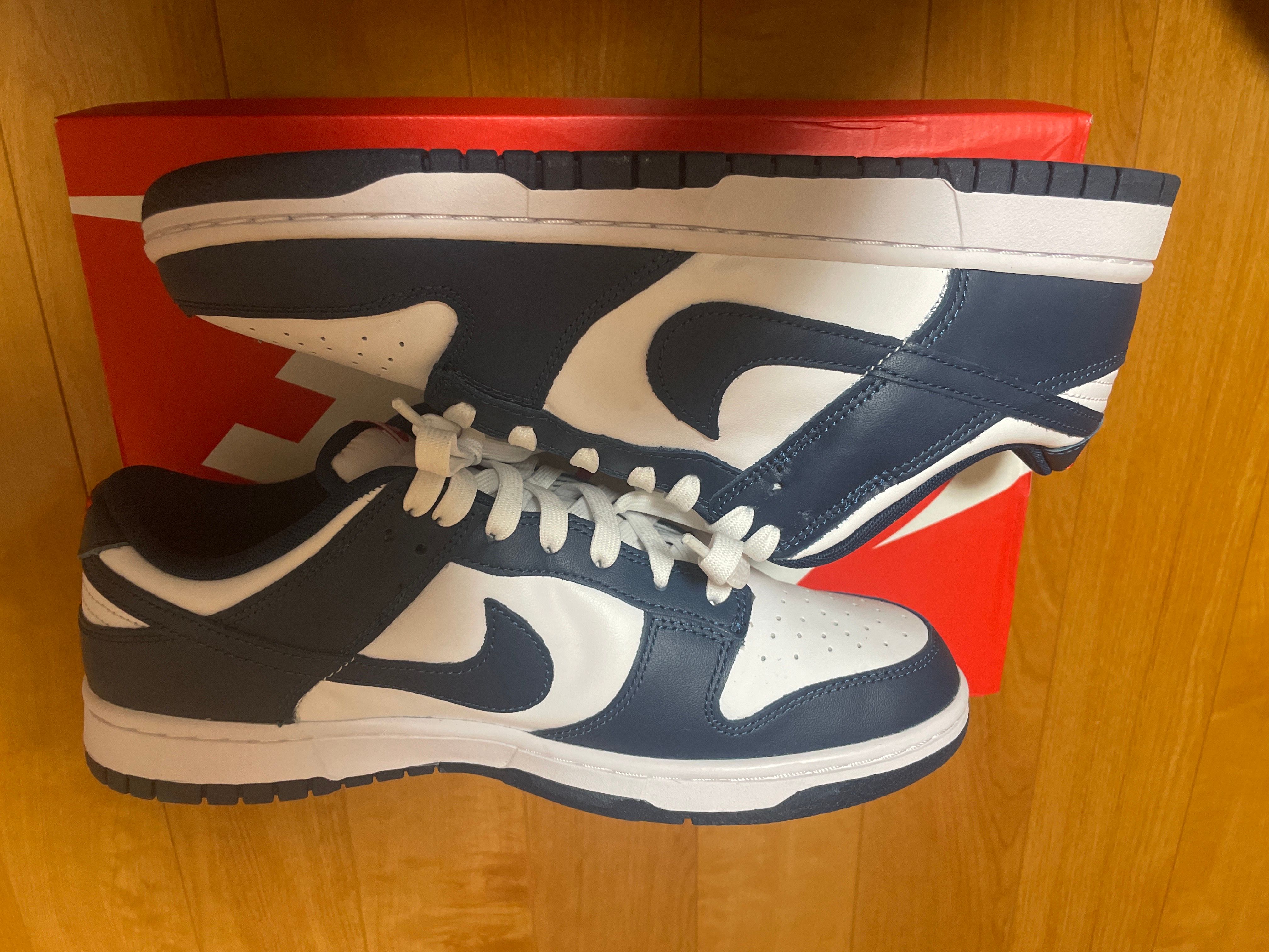 Nike Dunk Low "Valerian Blue"