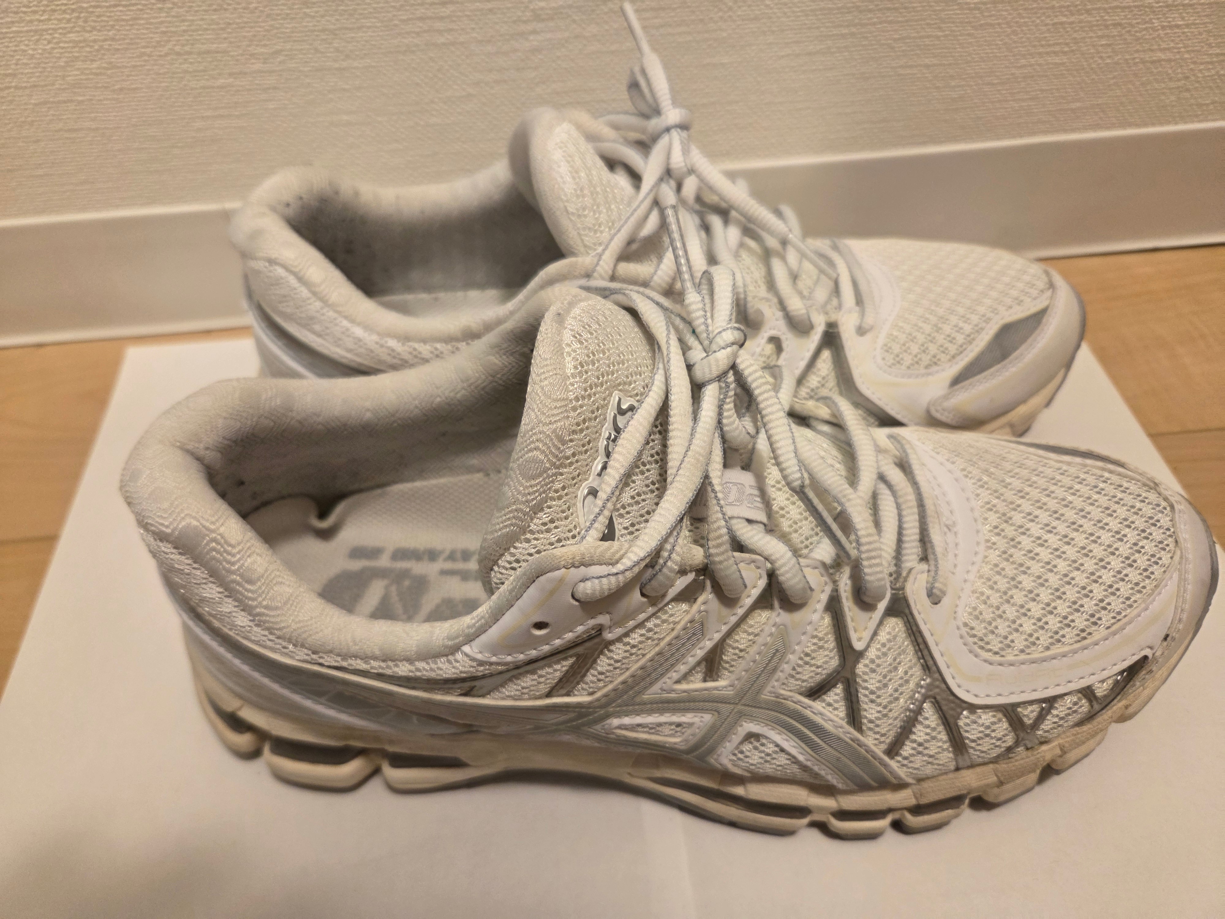 Asics Gel-Kayano 20 "White/Pure Silver"