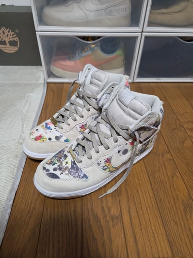 Supreme × Nike SB Dunk High "Rammellzee"