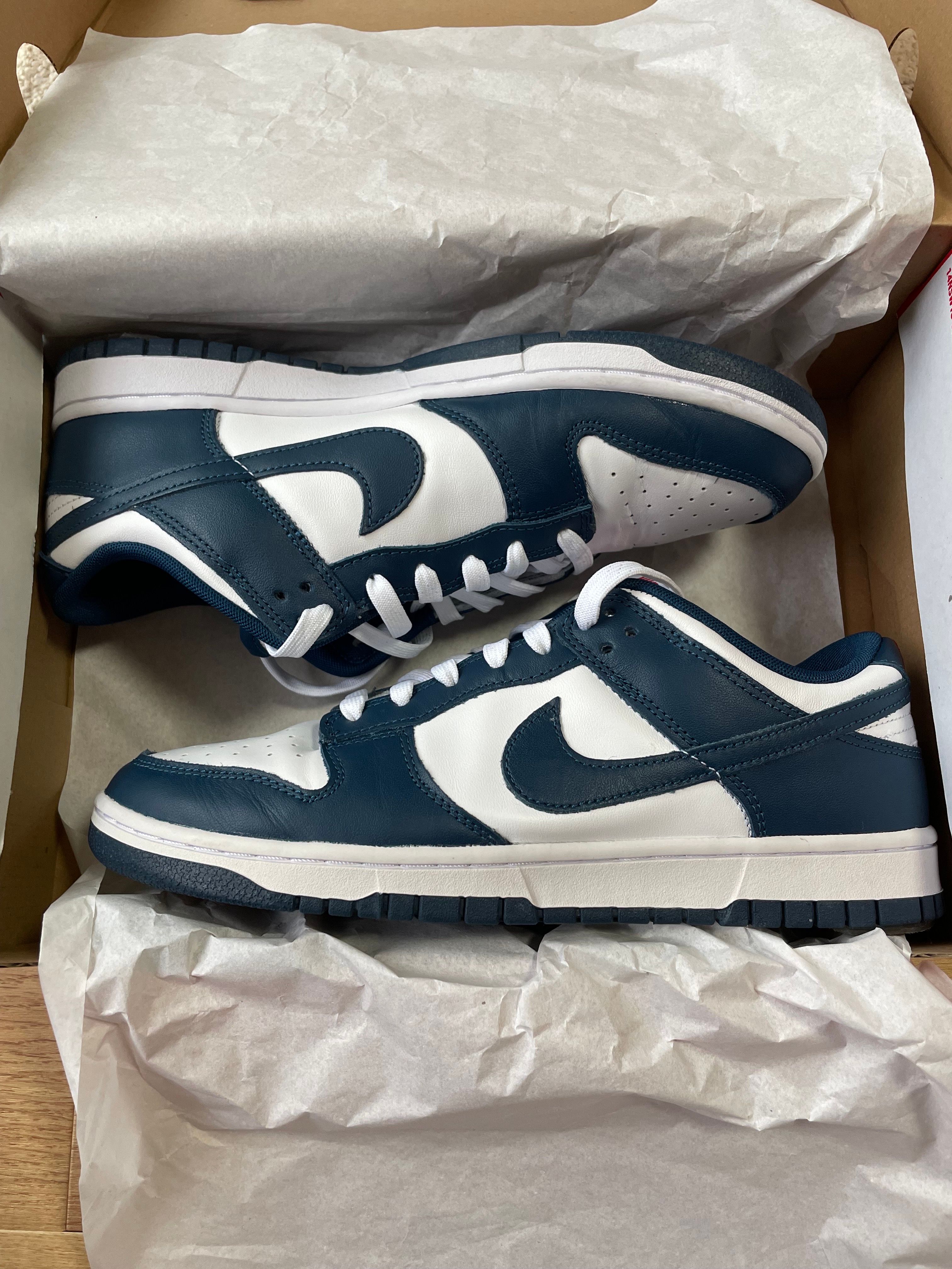 Nike Dunk Low "Valerian Blue"