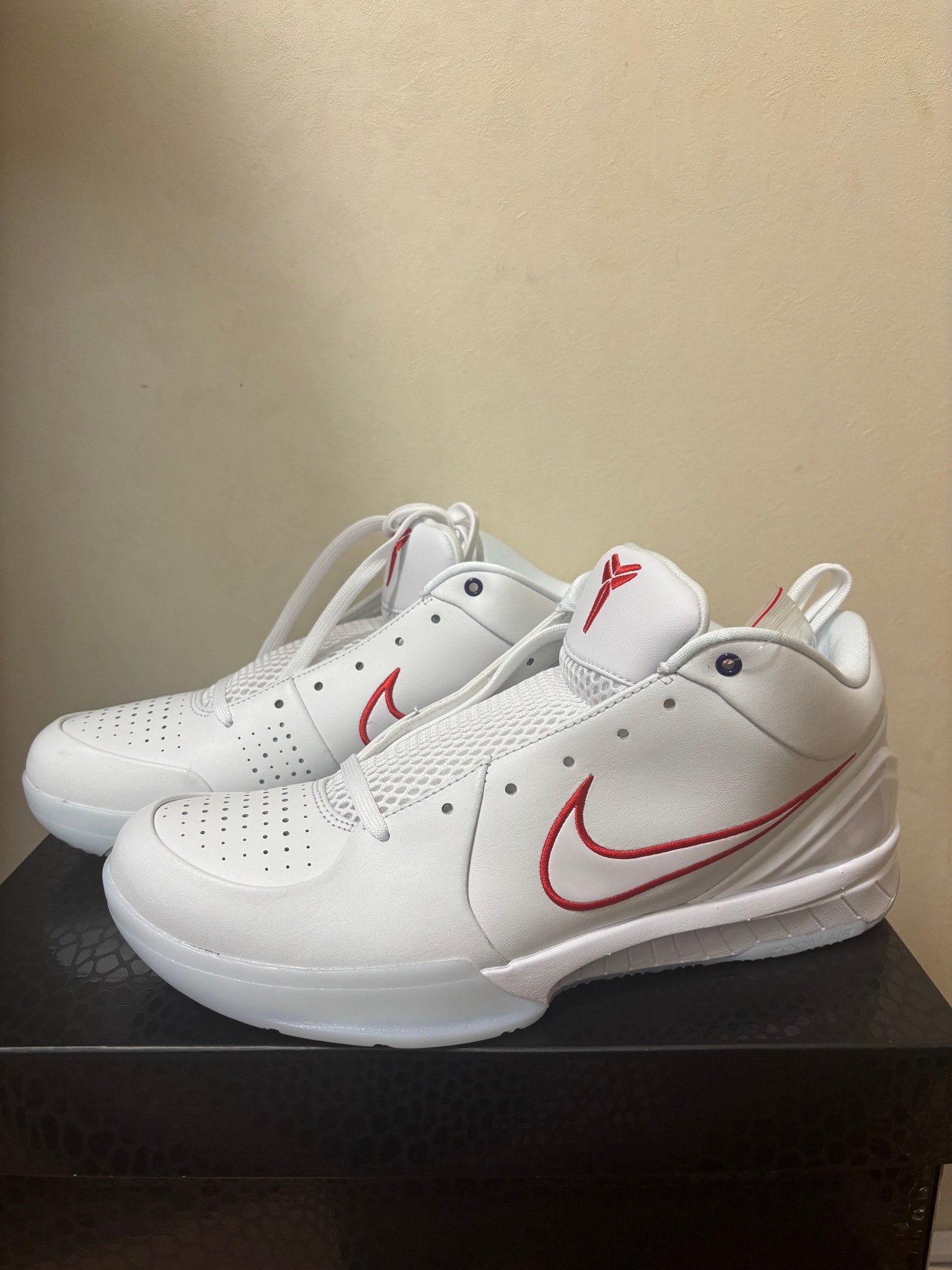 Nike Kobe 4 Protro Draft Pack "Raptors" (IM0559-103)