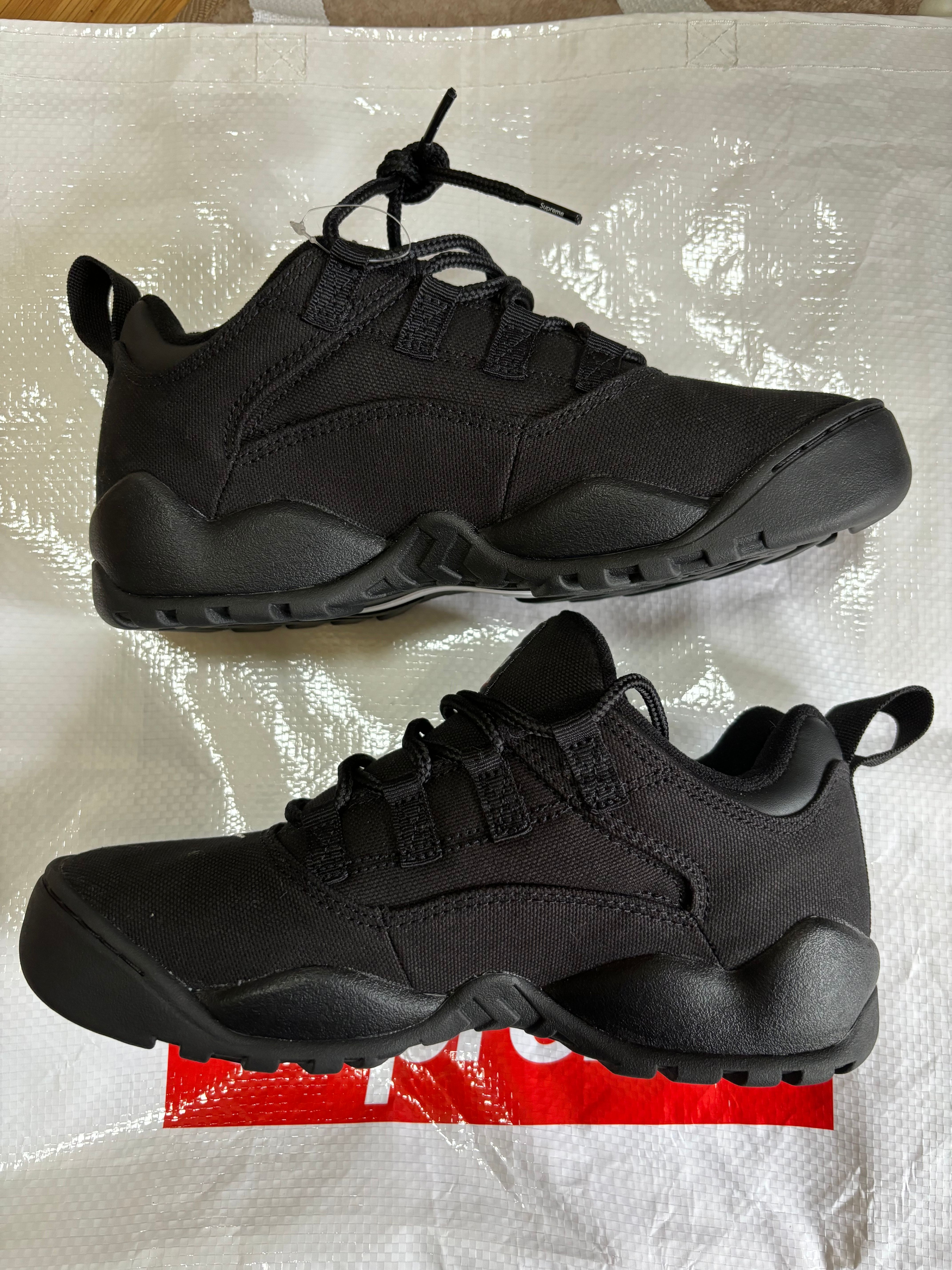 Supreme × Nike SB Darwin Low "Black"