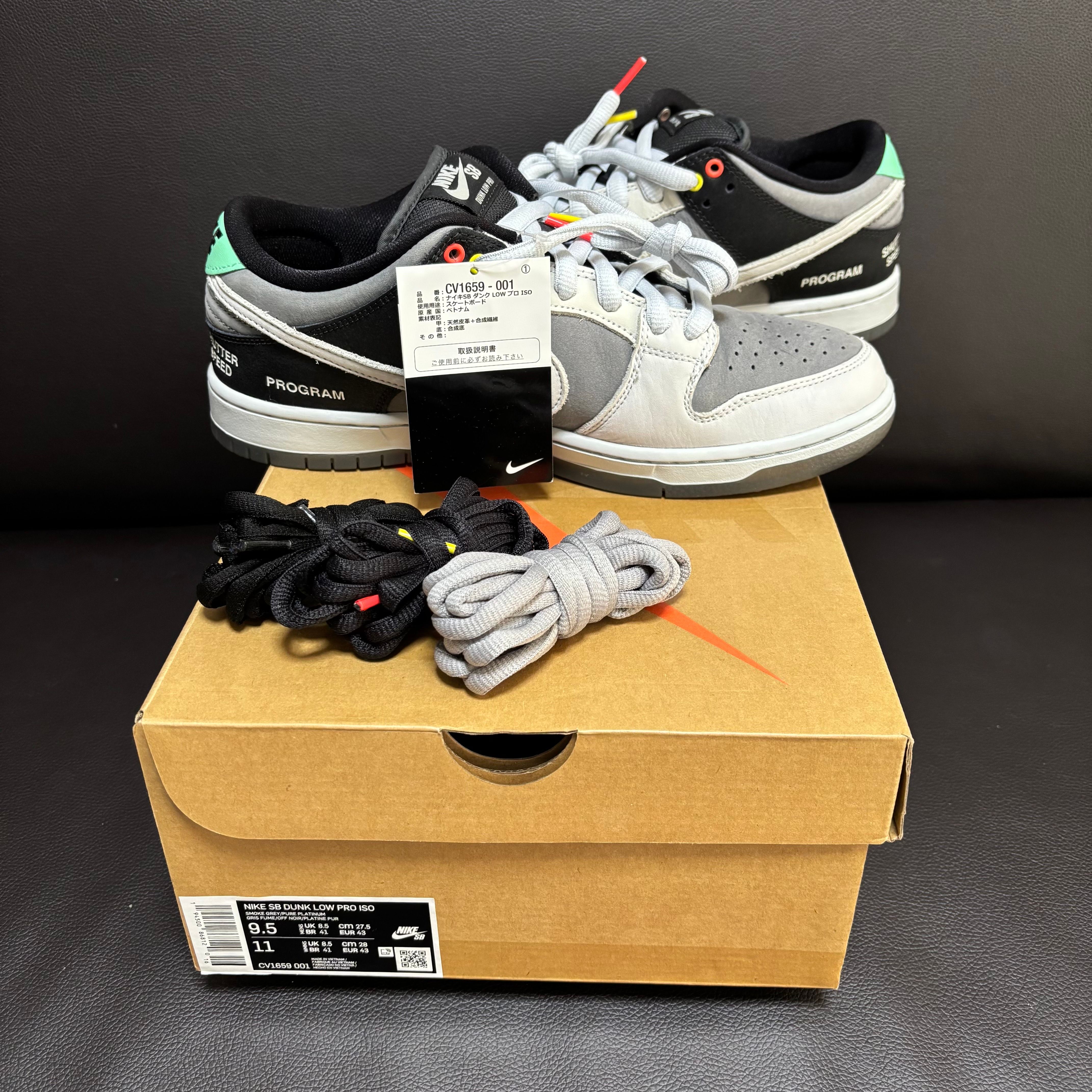 Nike SB Dunk Low Pro "VX1000 Camcorder"