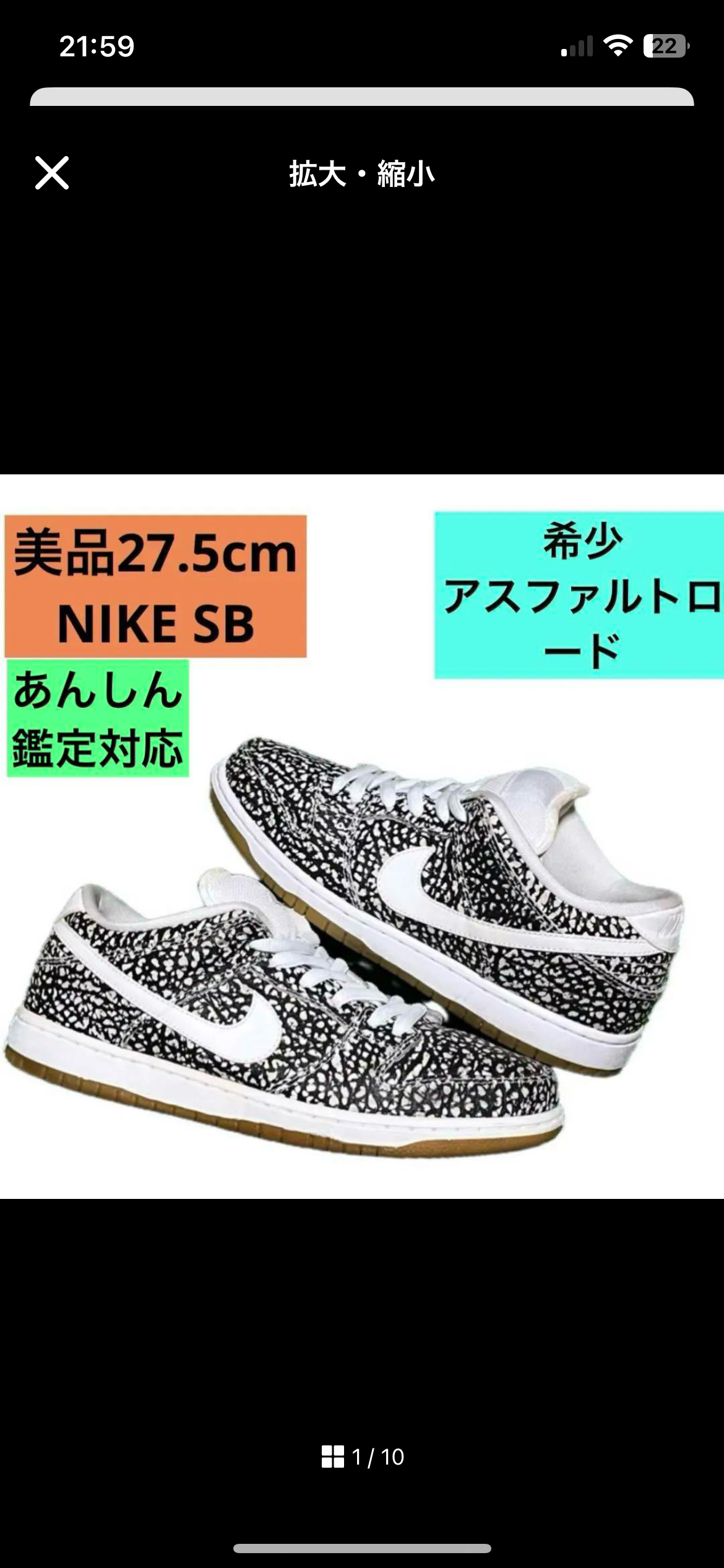Nike SB Dunk Low "Road"