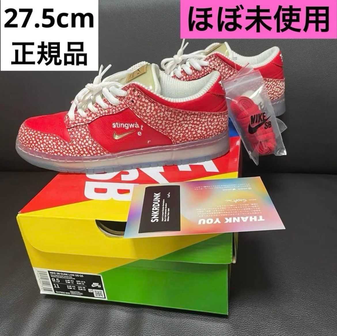 Stingwater × Nike SB Dunk Low 