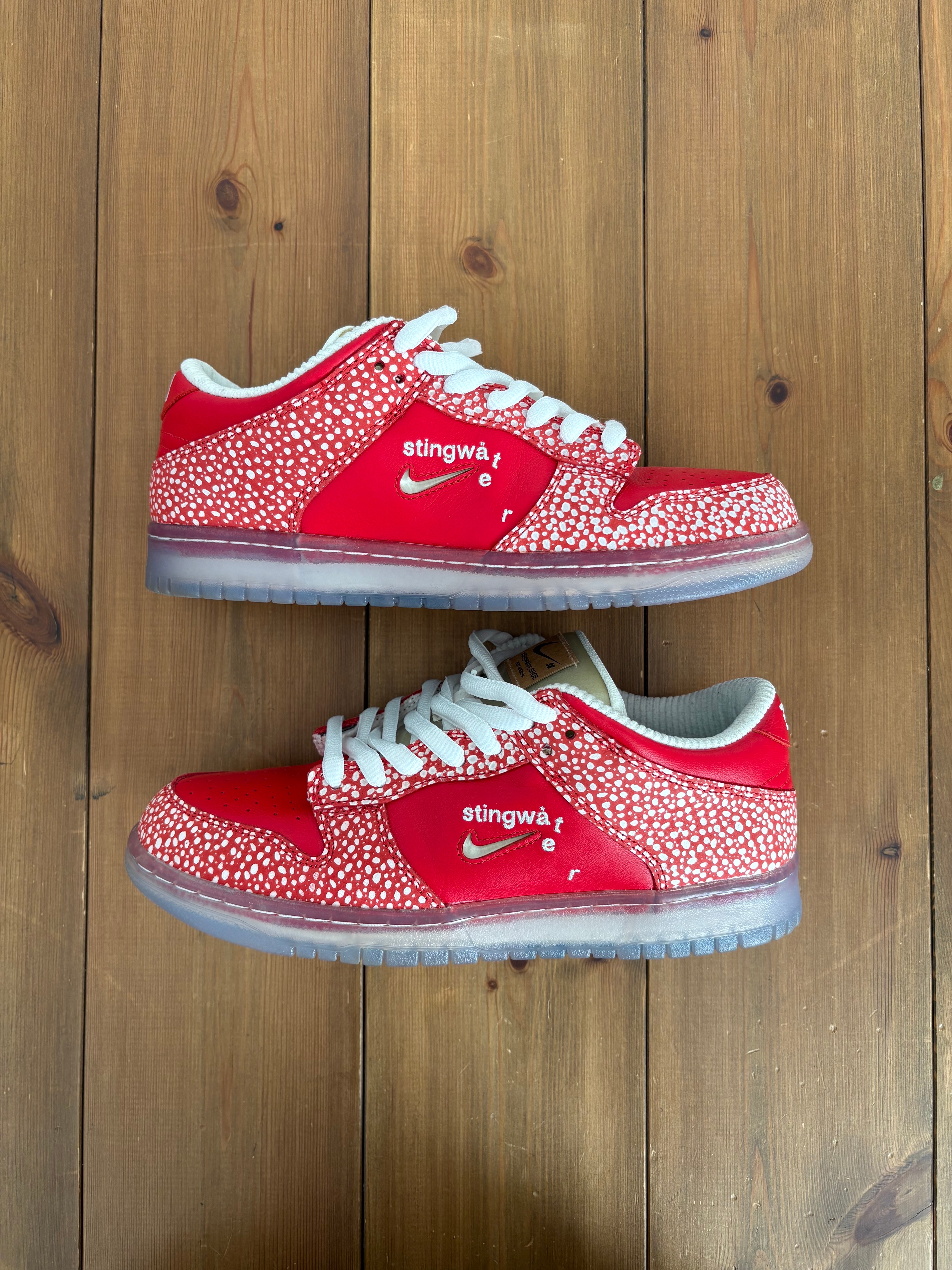 スティングウォーター × ナイキ SB ダンク ロー 