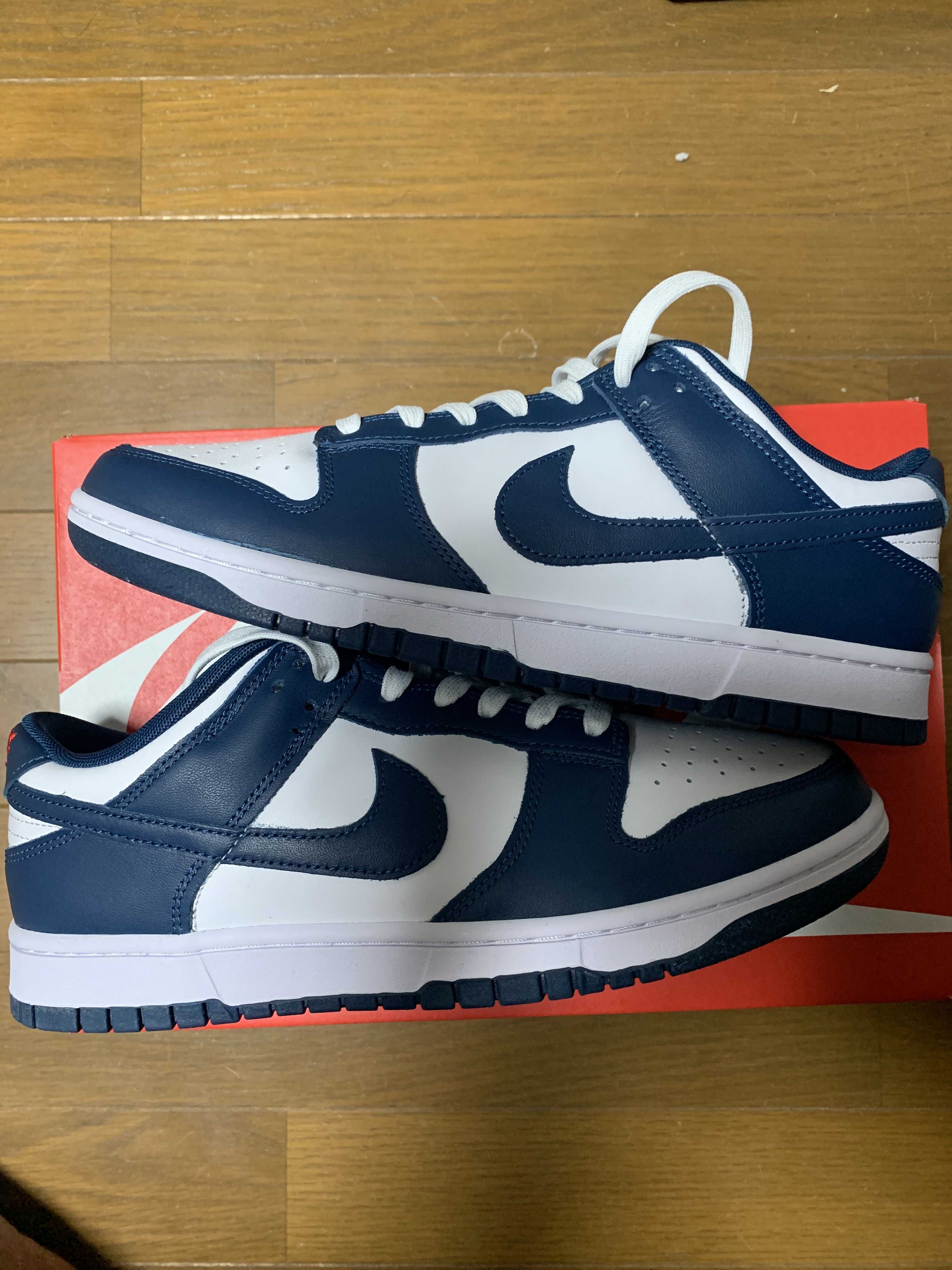 Nike Dunk Low "Valerian Blue"