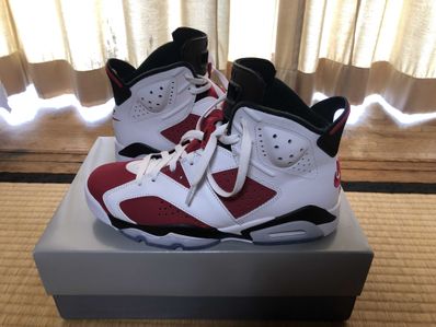 Nike Air Jordan 6 "Carmine" (2021)