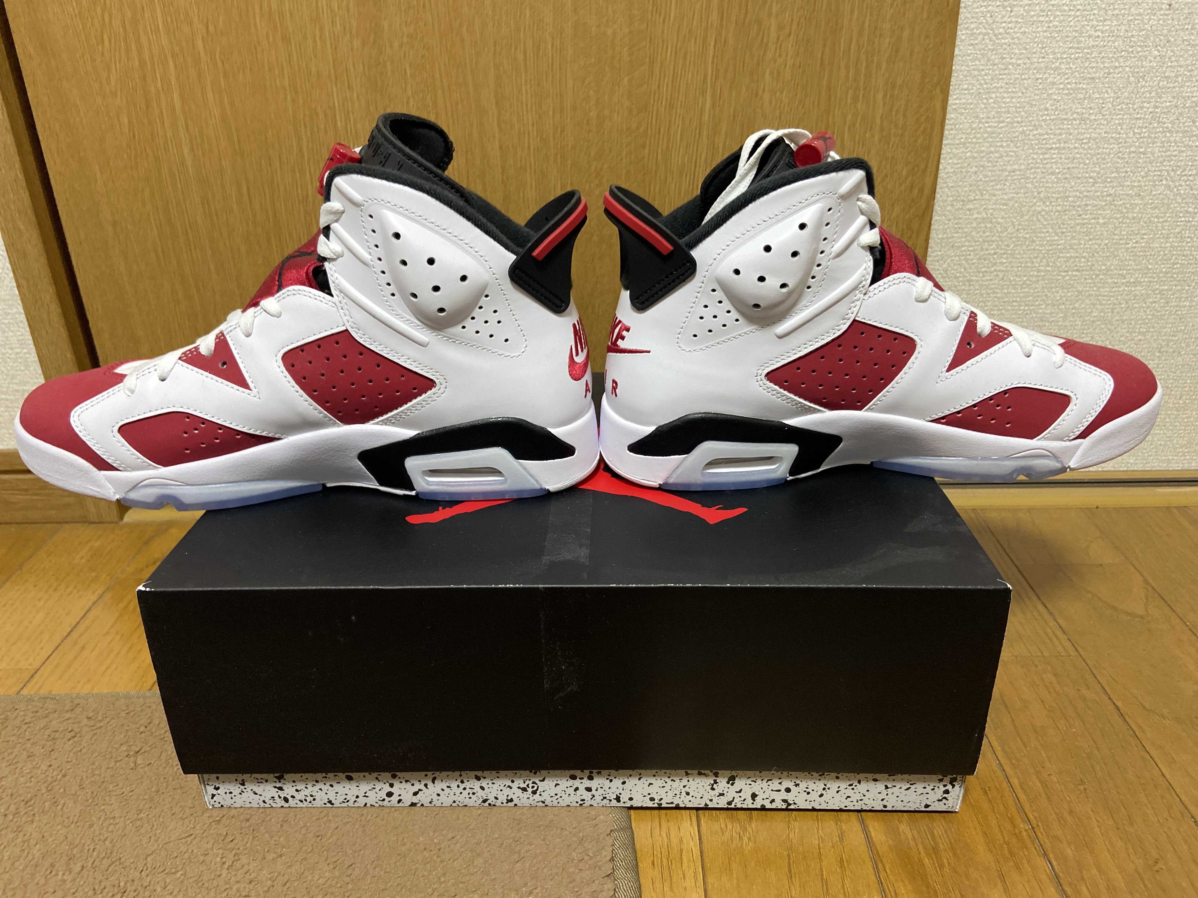 Nike Air Jordan 6 "Carmine" (2021)