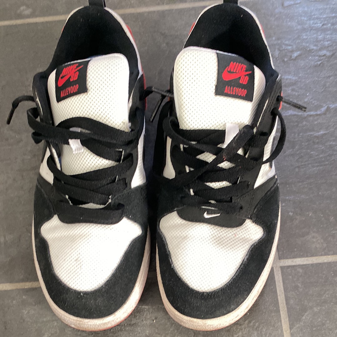 ナイキ SB アリウープ "ブラック トゥ"