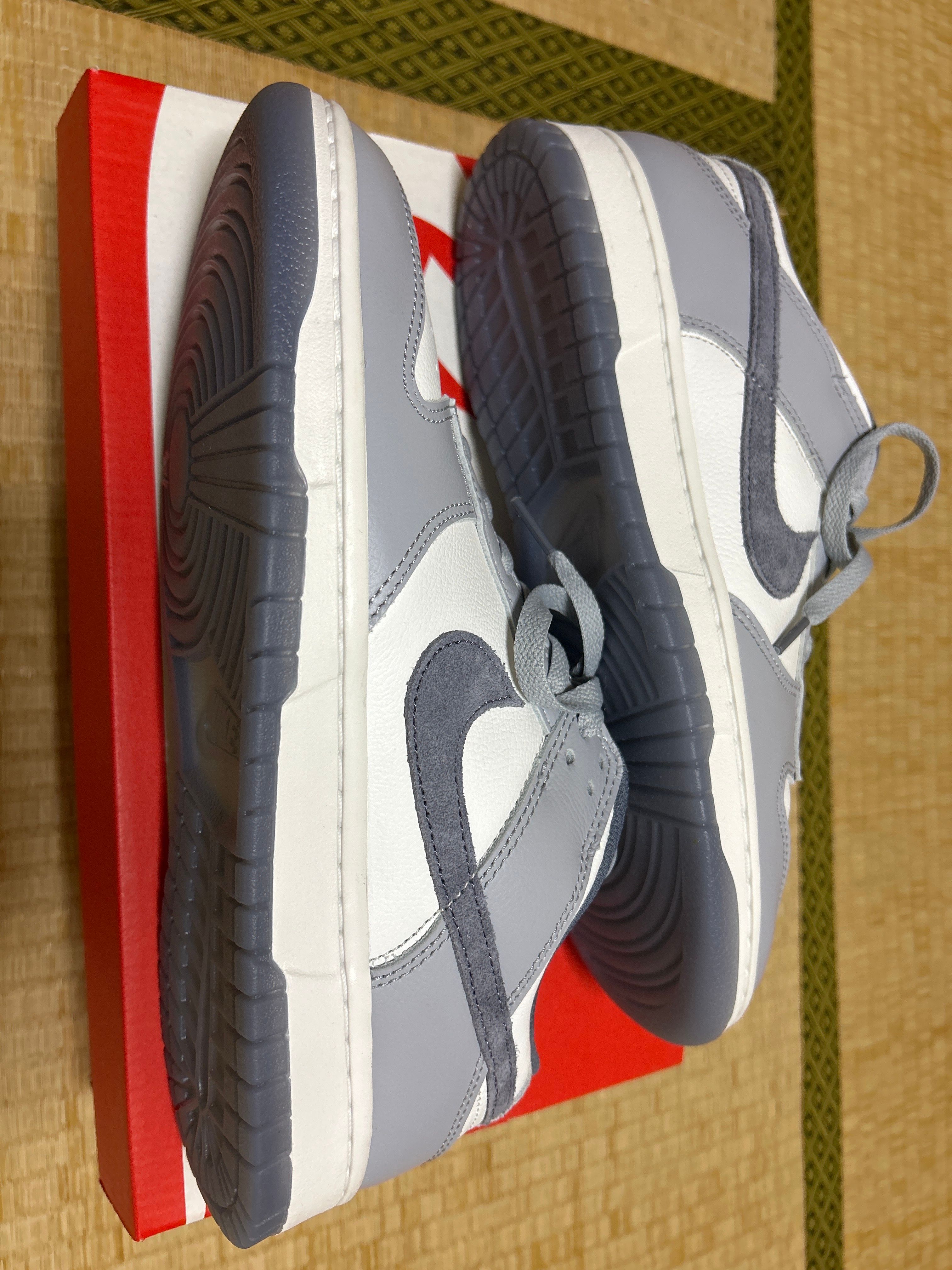 Nike Dunk Low Retro PRM "Light Carbon"