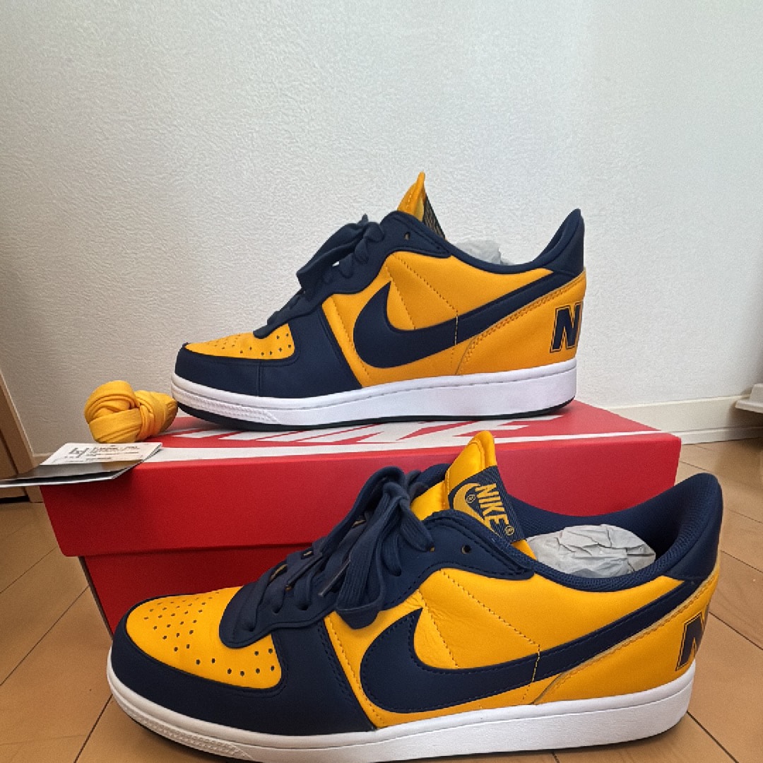 Nike Terminator Low "University Gold and Navy/Michigan"