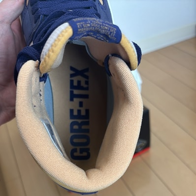 Nike Air Jordan 1 Element GORE-TEX "Sky J Purple"