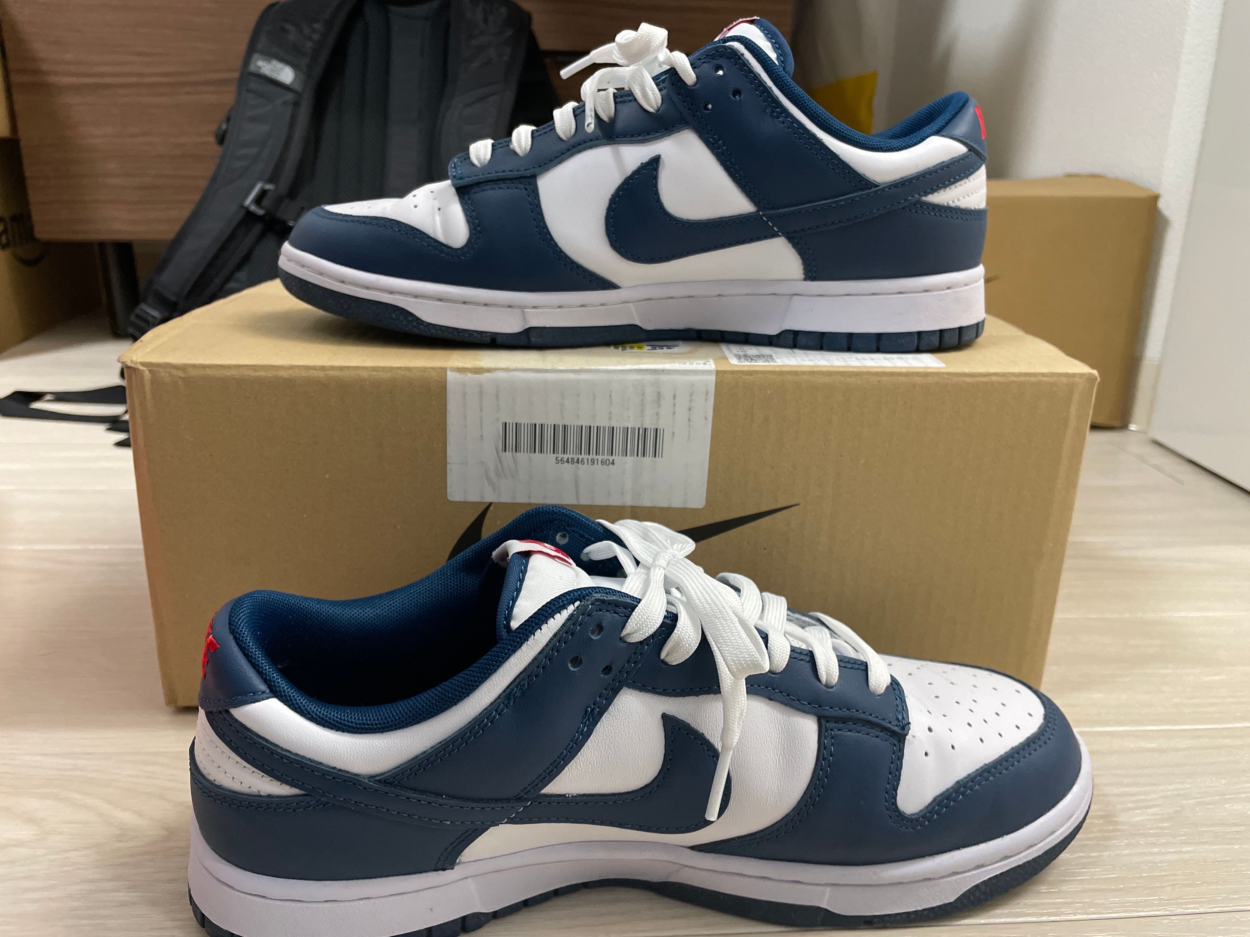 Nike Dunk Low "Valerian Blue"