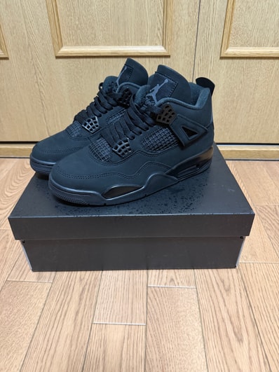 Nike Air Jordan 4 Retro OG "Black Cat" (2025)