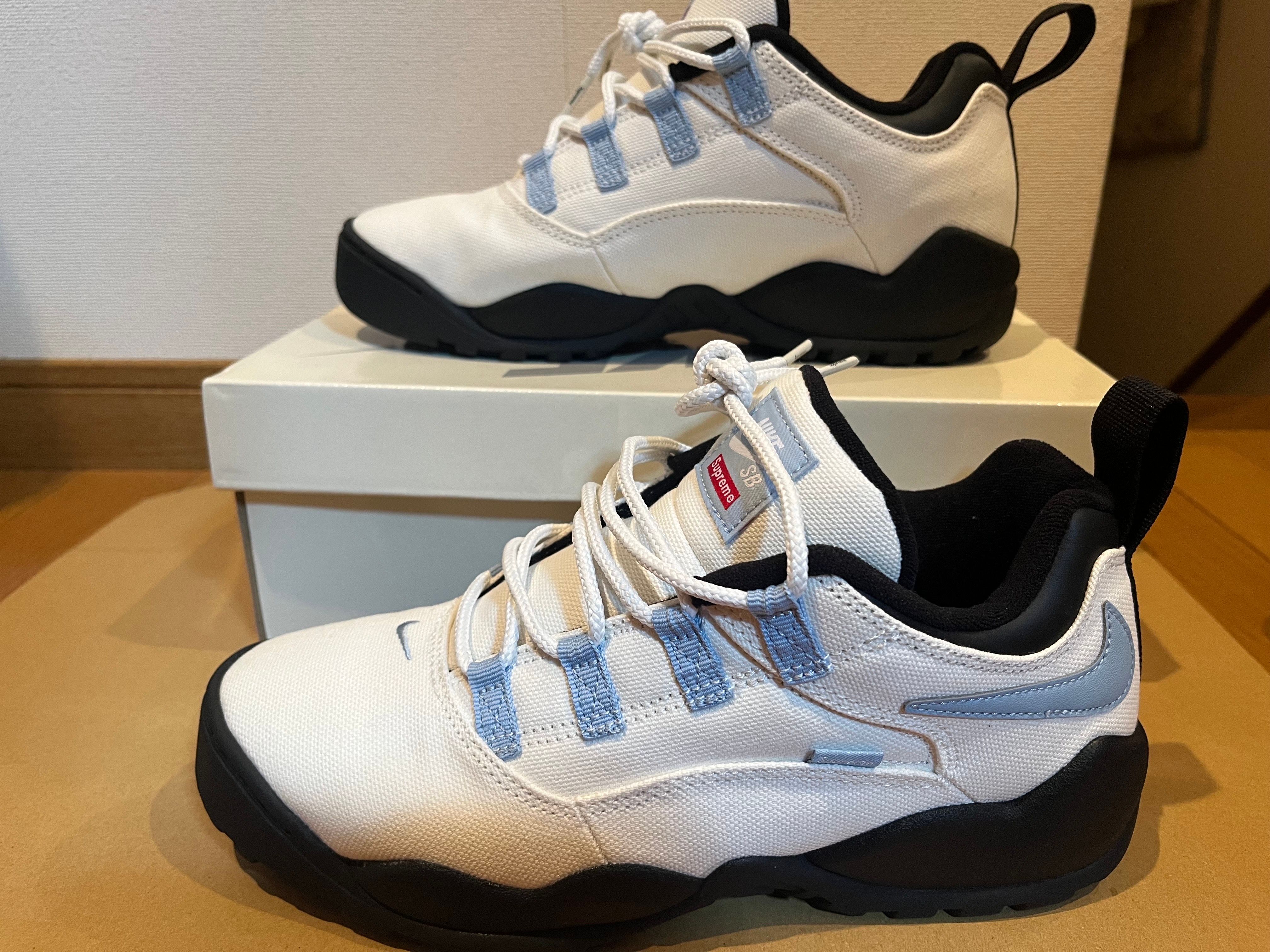 Supreme × Nike SB Darwin Low "White"