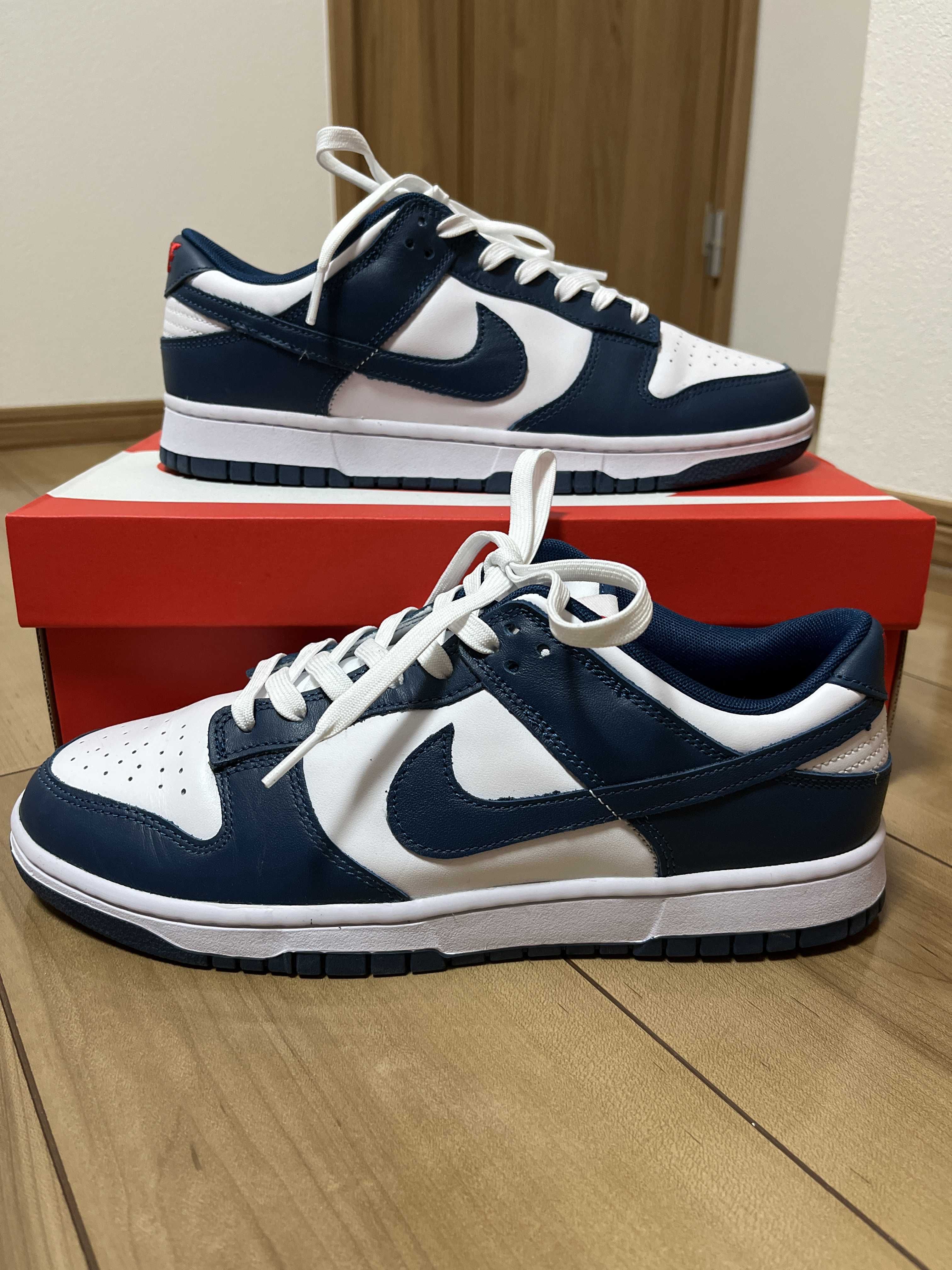 Nike Dunk Low "Valerian Blue"