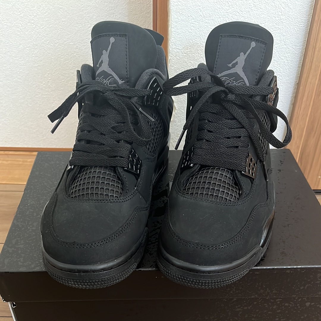 Nike Air Jordan 4 Retro OG "Black Cat" (2025)