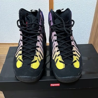 Supreme × Nike Air Bakin "Black/Multi"