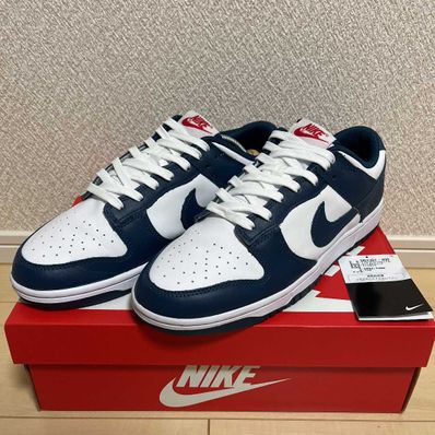 Nike Dunk Low "Valerian Blue"