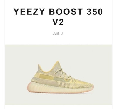 ADIDAS YEEZY BOOST 350 V2 "ANTLIA (NON-REFLECTIVE)"