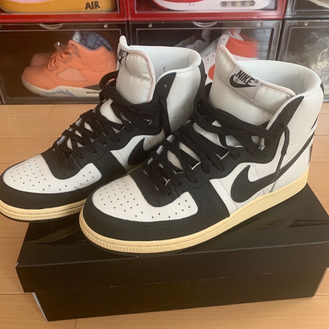 Nike Terminator High "Black and Phantom"