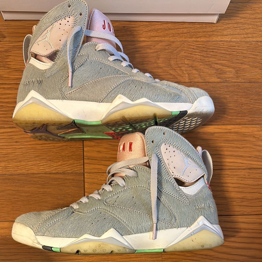 Nike Air Jordan 7 SE 