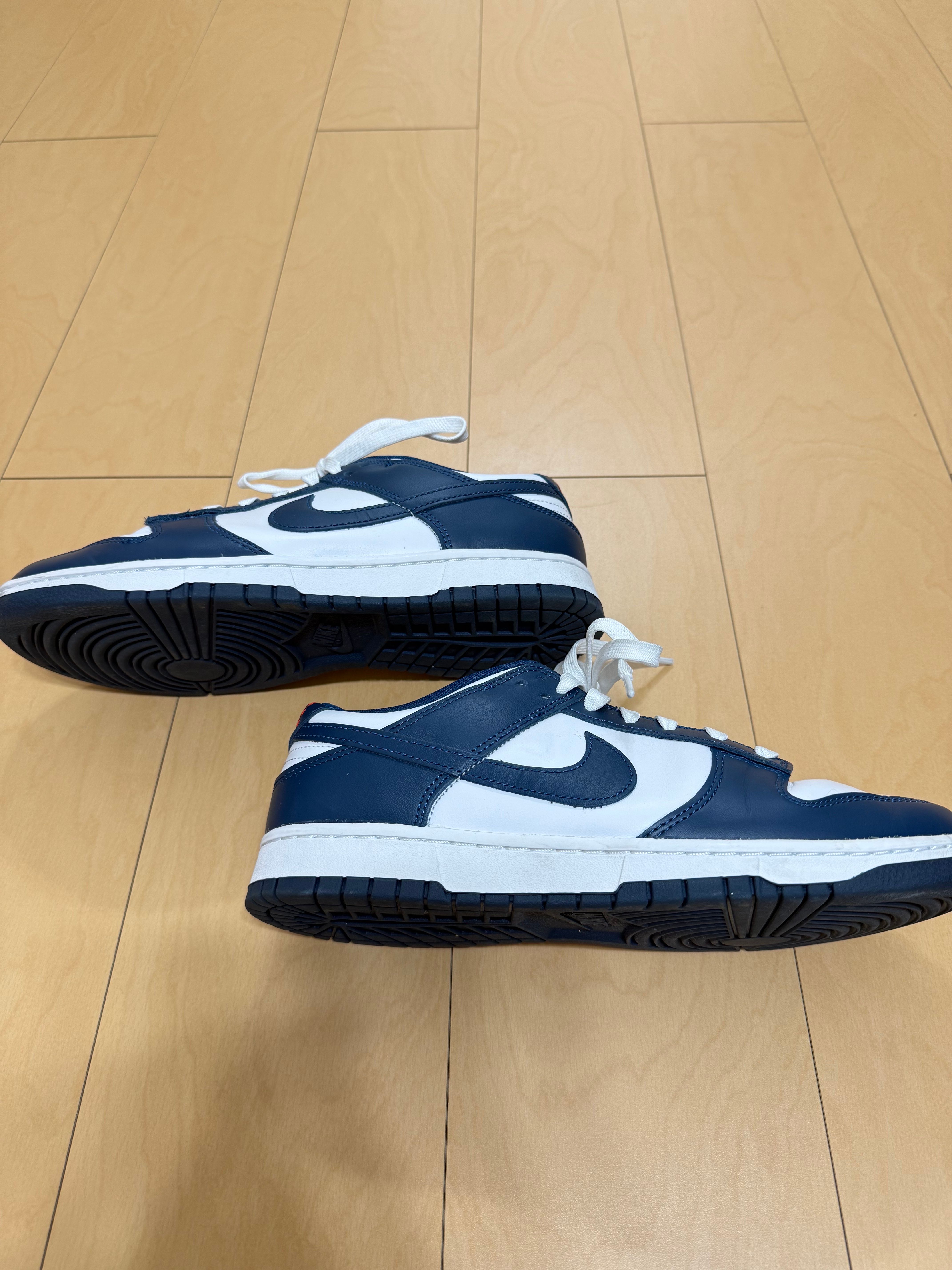 Nike Dunk Low "Valerian Blue"