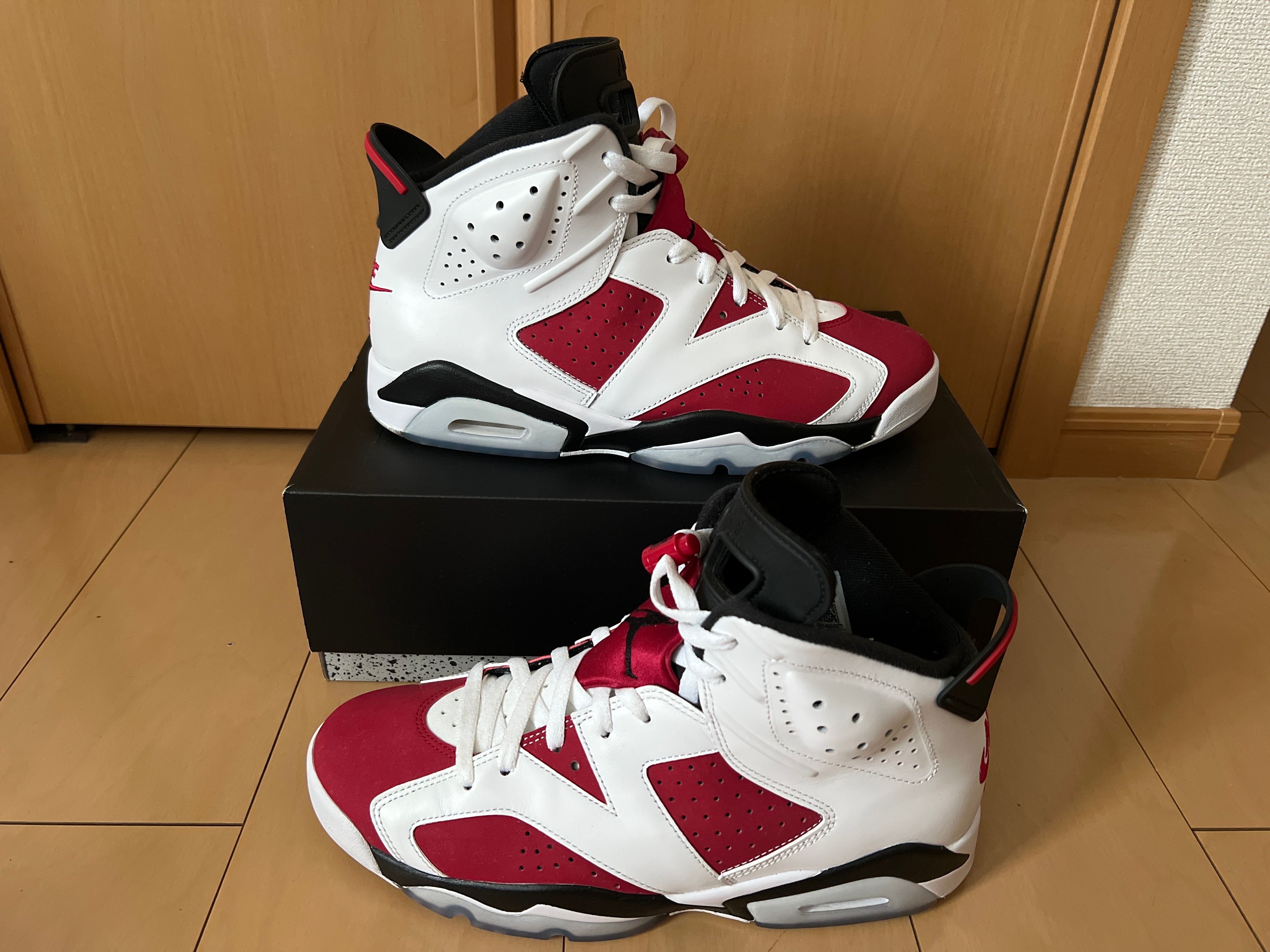 Nike Air Jordan 6 "Carmine" (2021)